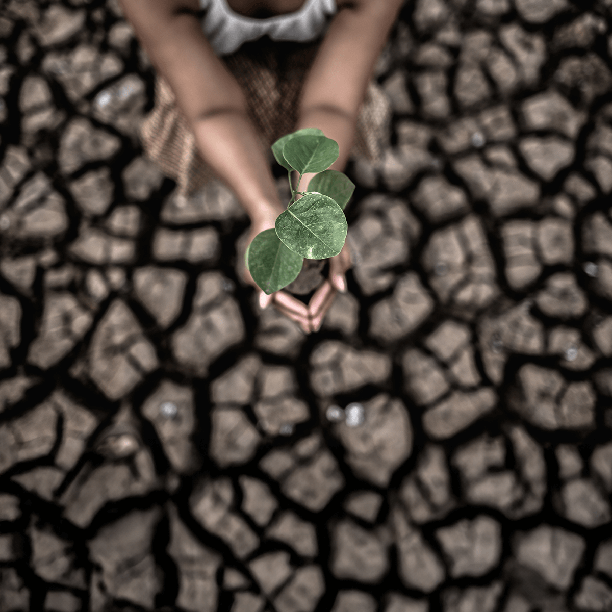 A Greener Future Starts