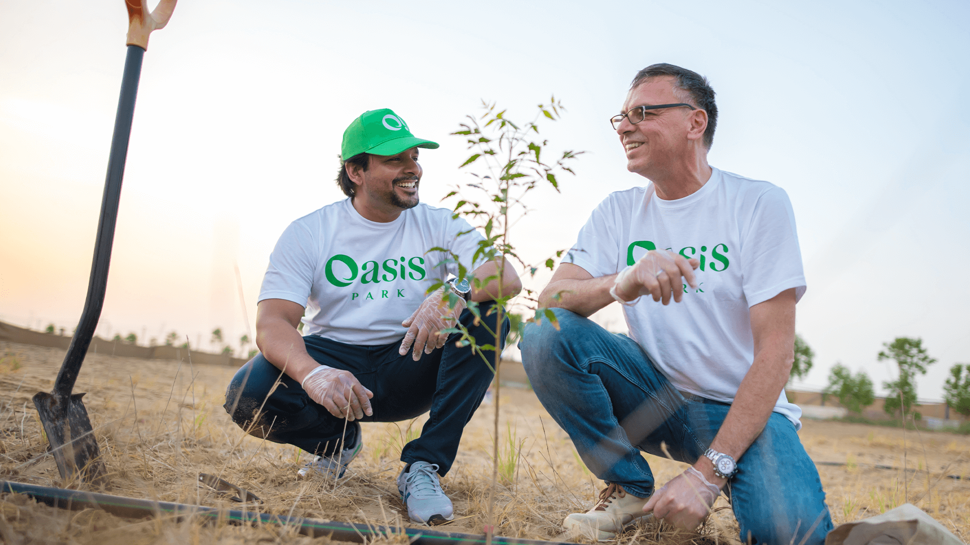 Oasis Park - Ralph Martin (1) (1)